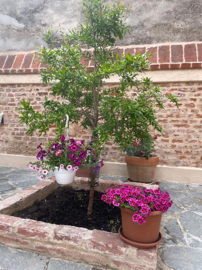 Residenza Nikol Appartamento Giulia Casale Monferrato Exterior foto