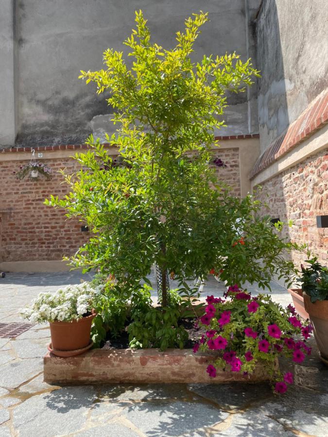 Residenza Nikol Appartamento Giulia Casale Monferrato Exterior foto